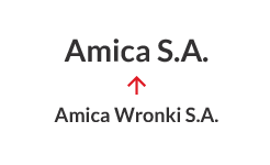 2016 - Зміна назви з Amica Wronki S.A. на Amica S.A.